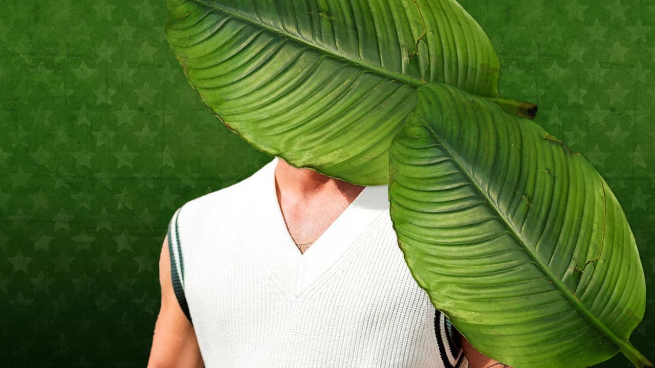 <p><strong>Dschungelcamp 2026: Der größte Trash-TV-Casanova zieht ein!</strong></p>